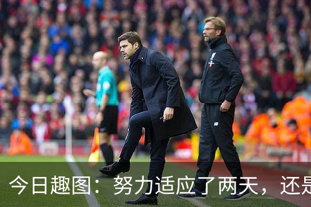 今日趣图：努力适应了两天，还是适应不了补水时间放广告……